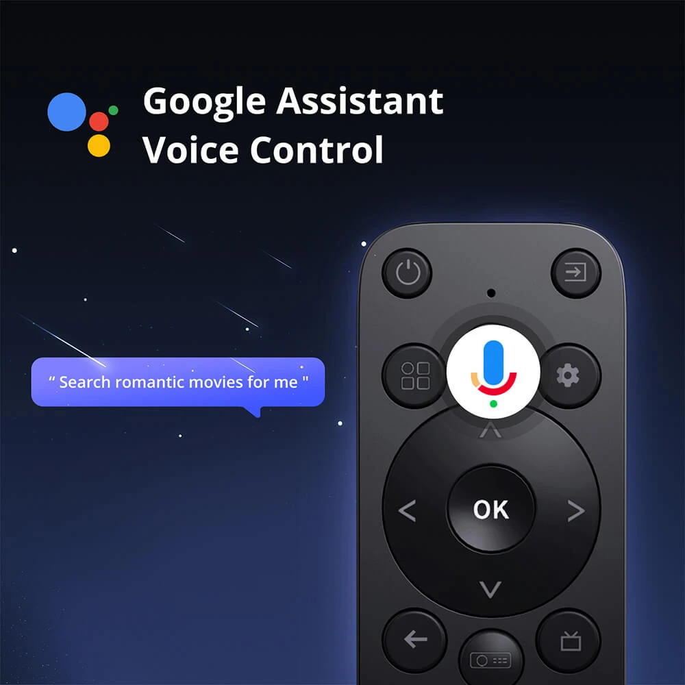 Google Assistant Voice Control